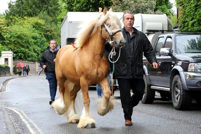The annual Wickham Horse Fair took place on Friday, May 20, in Wickham Square and along Winchester Road, Wickham. Picture: Sarah Standing (200522-5778)