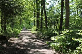 Areas of Havant Thicket which could be impacted by the reservoir plans. Picture: Emily Turner