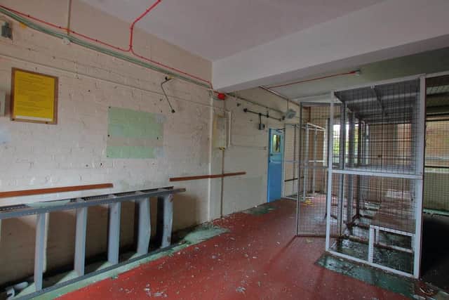 Inside the abandoned building.