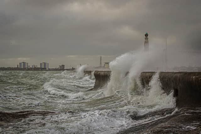 Storm Francis battering Southsea Common on August 26, 2020. Picture: Habibur Rahman
