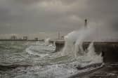 Storm Francis battering Southsea Common on August 26, 2020. Picture: Habibur Rahman