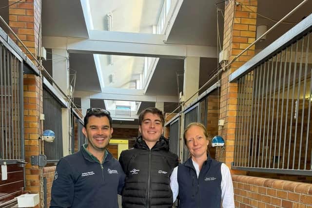 Matthew, left, and Rachel, right, travelled from Hampshire to South Africa to treat a horse owned by Luca Watson (centre)