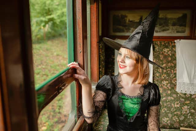 All aboard for Wizard Week at the Isle of Wight Steam Railway