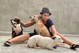 Tereza Oharkova with stray dogs in Sri Lanka