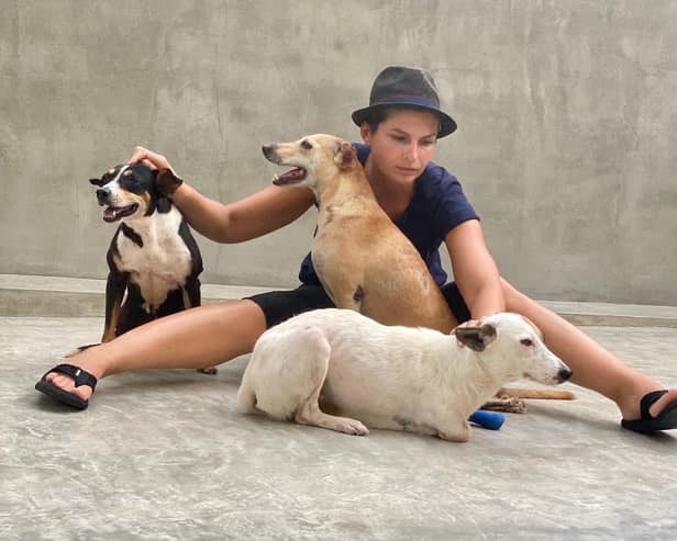 Tereza Oharkova with stray dogs in Sri Lanka