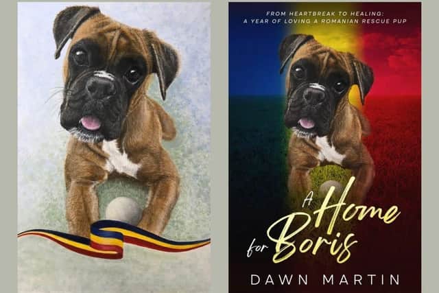 From heartbreak to healing: A year of loving a Romanian rescue dog