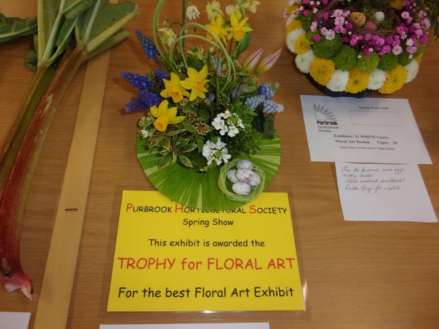 Small but Beautiful - Maureen Simpson's winning Petite Floral Art Exhibit