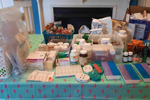 A lot of the medication, supplements and detox regimes Laura has to do to help with her Lyme disease
