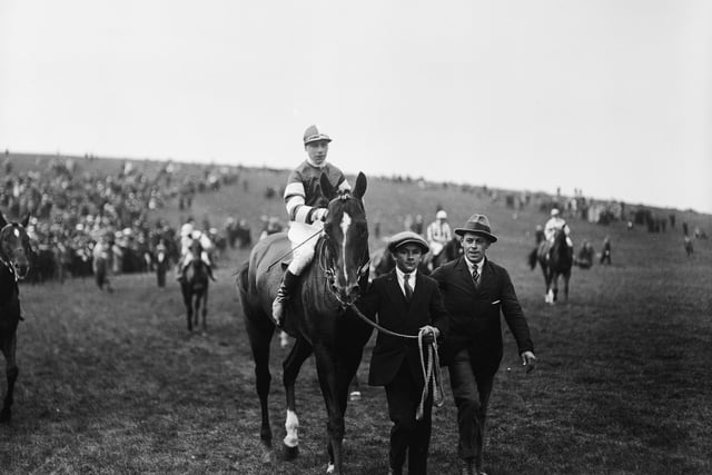 29th July 1919:  The winning horse, 'King Sol', being led away after a race at Goodwood.  (Photo by Topical Press Agency/Getty Images)