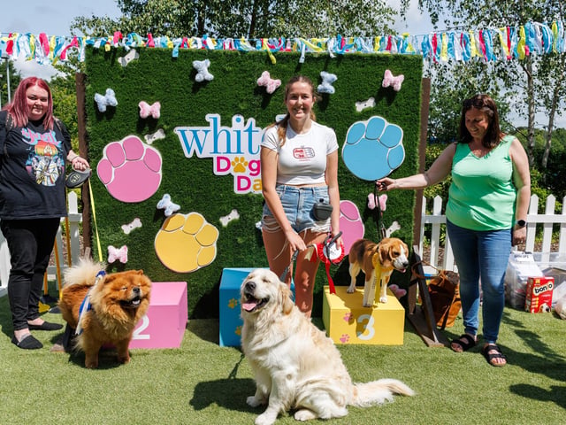 1st place Evie and Marlon, 2nd place Carrie with Dallas and 3rd place Charlotte with Bertie.  Picture:Marcin Jedrysiak