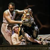 Richard Parker the tiger and puppeteers in Life of Pi. Photo by Johan Persson