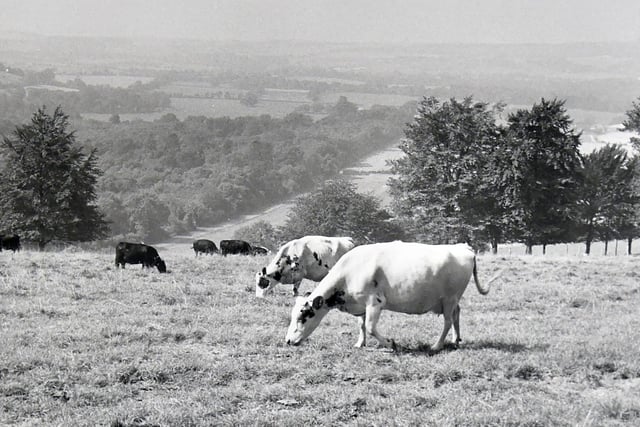 Old Winchester Hill in 1973. Picture: (0571-4)