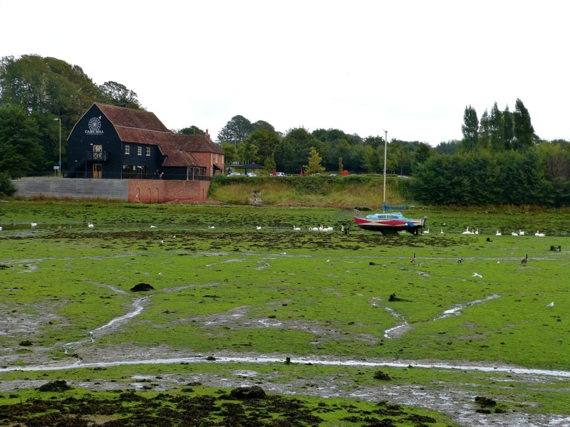 There are some lovely walks to be had around the historic Cams Mill pub in Fareham.
Picture: Alison Treacher