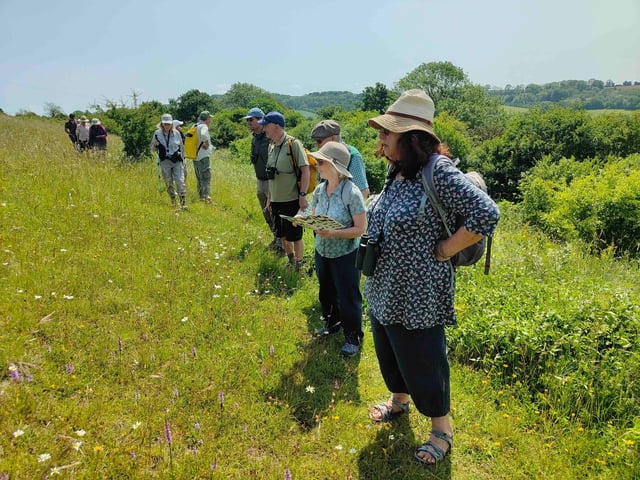 Butterfly Conservation Walk