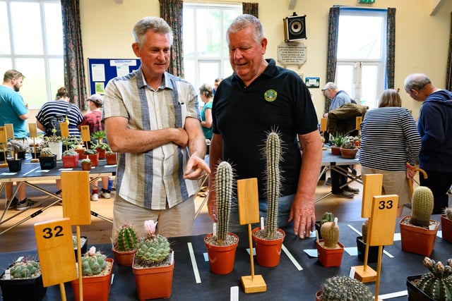 Pictured is: Gordon Arnold and Patrick Hickey, exhibitors at the show, examine other cacti

Picture: Keith Woodland (030621-12)