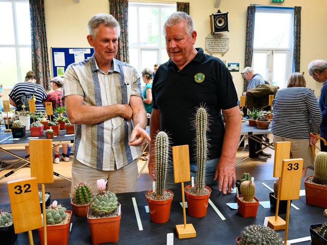 Pictured is: Gordon Arnold and Patrick Hickey, exhibitors at the show, examine other cactiPicture: Keith Woodland (030621-12)