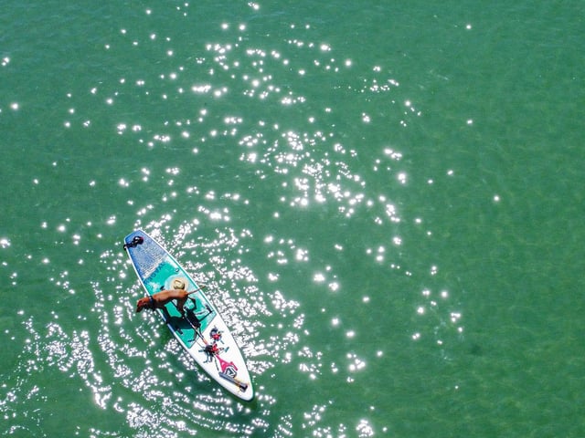 Pictured: Horatio the Dog and owner, Jason West on a paddle board