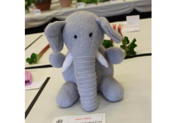 Hayling Island Horticultural Society will be hosting its Virtual Summer Show due to the lockdown restrictions. Pictured: Entries from last years event