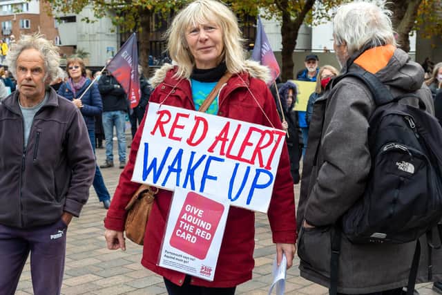 Viola Langley co-founder of Let's Stop Aquind at the COP26 demonstration. Picture: Mike Cooter (061121)