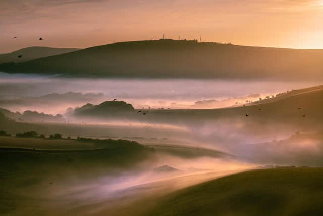 Lloyd Lane/National Trust/PA Wire