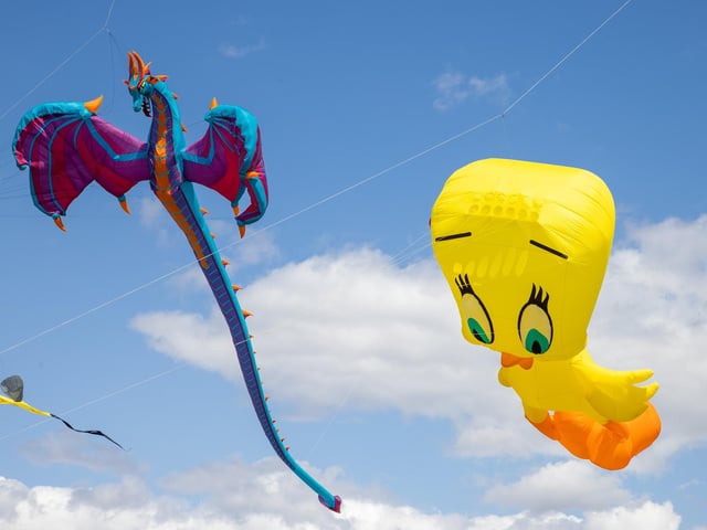 Pictured - Incredible kites on display at the Portsmouth Kite FestivalPhotos by Alex Shute