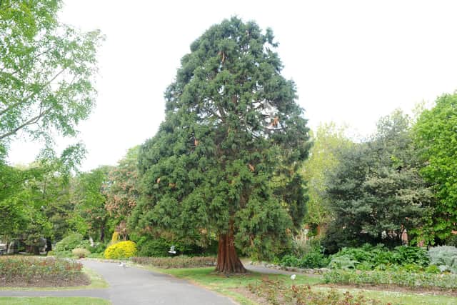 A design team is currently being sought to help redevelop Victoria Park in Portsmouth.

Picture: Sarah Standing (060519-8190)
