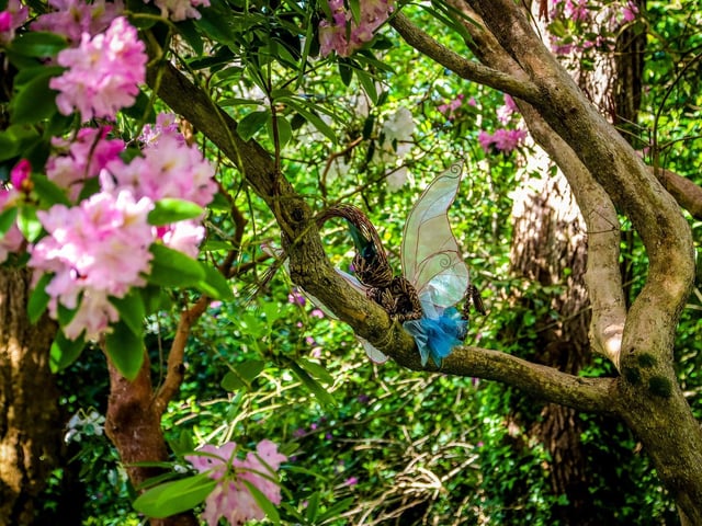 New Forest Folklore: Fairies, Witches and Dragon trail at Beaulieu.
