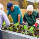 Residents are encouraged to get stuck in with gardening at Portsdown View