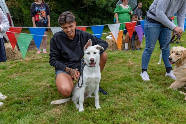 A hopeful contestant waits for the cutest puppy competition at the Denmead Fun Dog Show. Picture: Mike Cooter (210724)