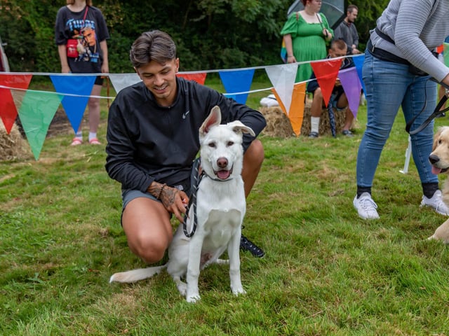 A hopeful contestant waits for the cutest puppy competition at the Denmead Fun Dog Show. Picture: Mike Cooter (210724)