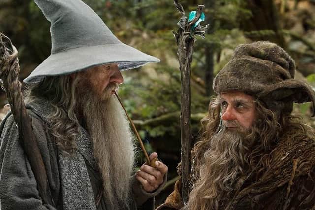 Sylvester McCoy (right) as Radagast The Brown in The Hobbit trilogy, with Sir Ian McKellen as Gandalf The Grey