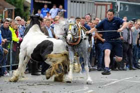 Wickham Horse Fair retro
