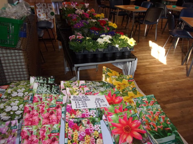 Just a Few Plants for Visitors to Buy as a Reminder of their Sunny Sunday Afternoon