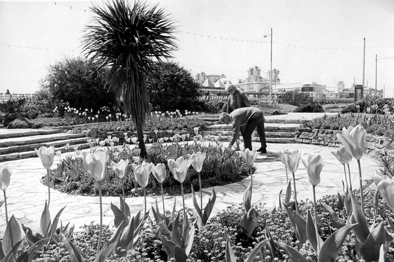 The flowers beside the D-Day memorial in Southsea, July 1982. The News PP5177