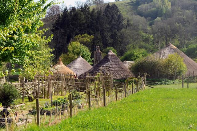 Butser Ancient Farm in Chalton are celebrating their 50th anniversary.
Picture: Sarah Standing (260422-5127)
