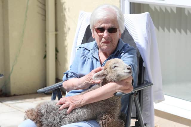 Resident Marilyn Linton cuddles one of the lambs.
Picture: Stuart Martin (220421-7042)