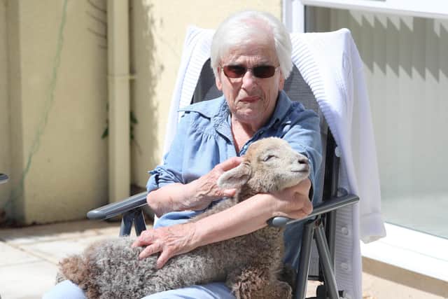Resident Marilyn Linton cuddles one of the lambs.

Picture: Stuart Martin (220421-7042)