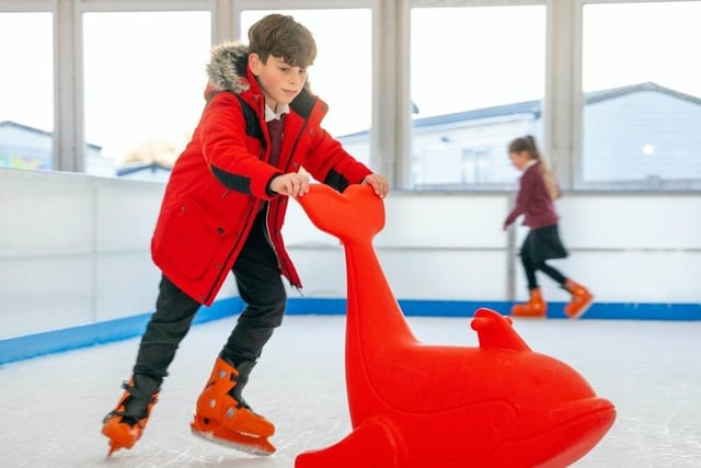 A dolphin helper on the ice rink