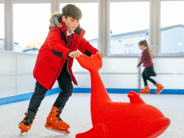 A dolphin helper on the ice rink