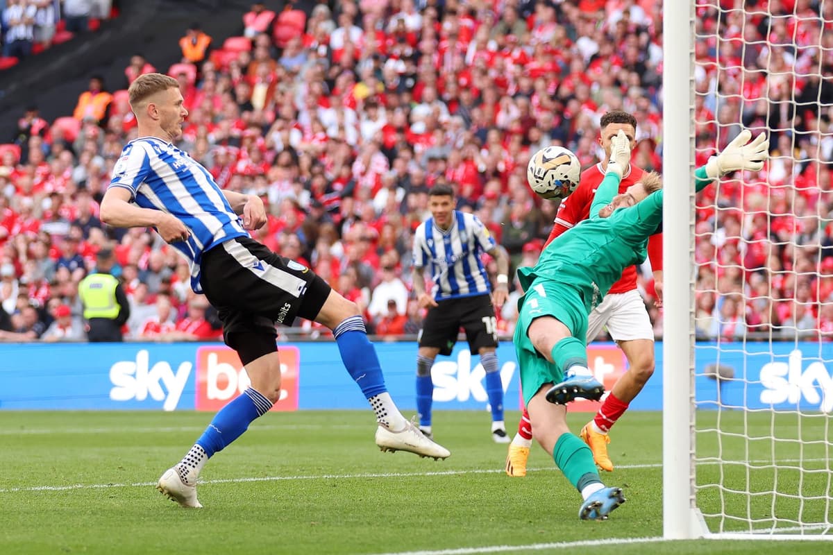 How Portsmouth centre-half became a brilliant play-off final goalkeeper against Sheffield Wednesday – the stunning transformation of ex-Southampton and Stoke man