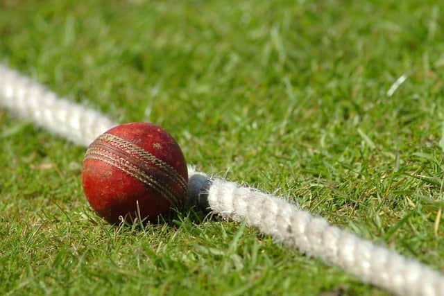 Cricket stock picture