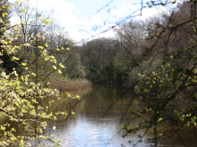 Foxes Forest, Portsmouth, offers up a picturesque walking area which is a popular choice amongst many throughout the year. Picture: Sam Stephenson.