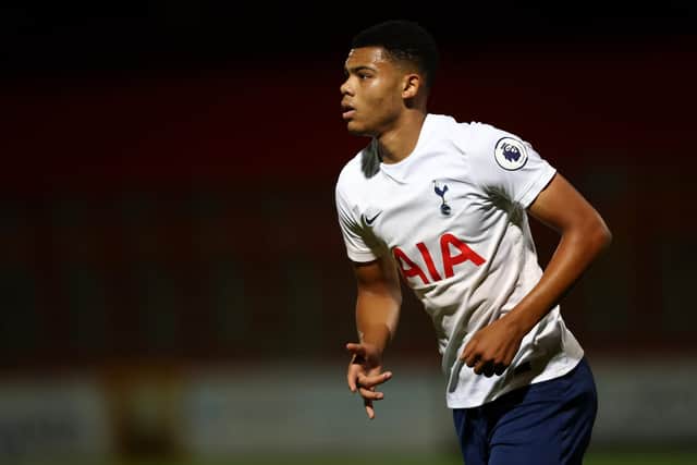 Spurs loanee Dane Scarlett has been named on Pompey's bench at Sheffield Wednesday for their League One opener. Picture: Paul Harding/Getty Images