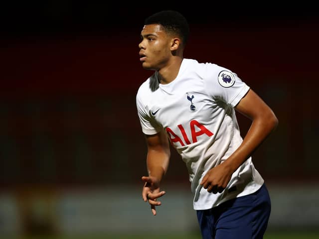 Spurs loanee Dane Scarlett has been named on Pompey's bench at Sheffield Wednesday for their League One opener. Picture: Paul Harding/Getty Images