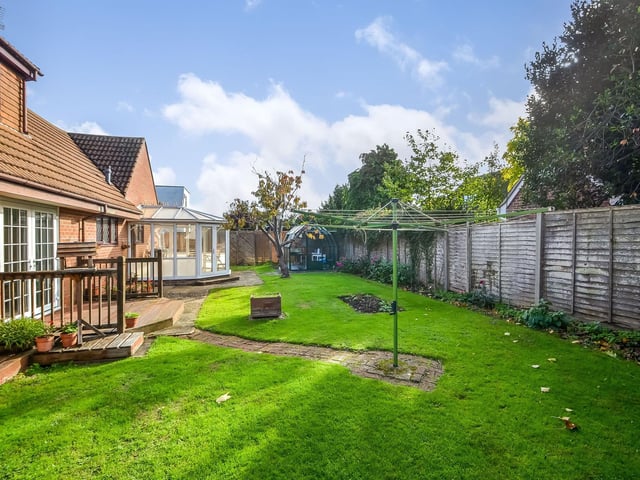 The back garden