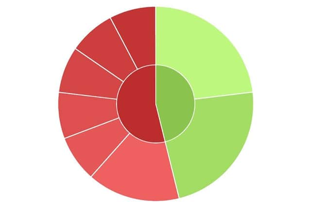 An example of the graphs produced by pupil tracker apps