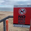 Dogs are not allowed on Southsea beach from May 1