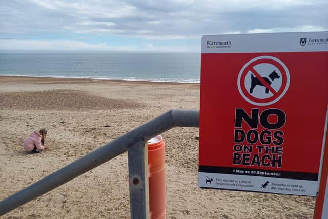 Dogs are not allowed on Southsea beach from May 1