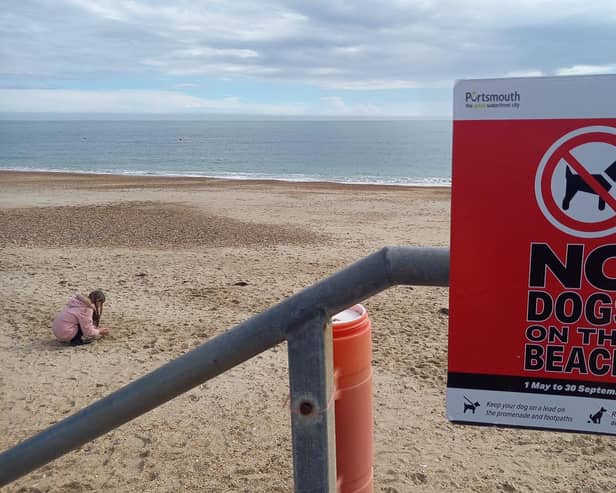 Dogs are not allowed on Southsea beach from May 1
