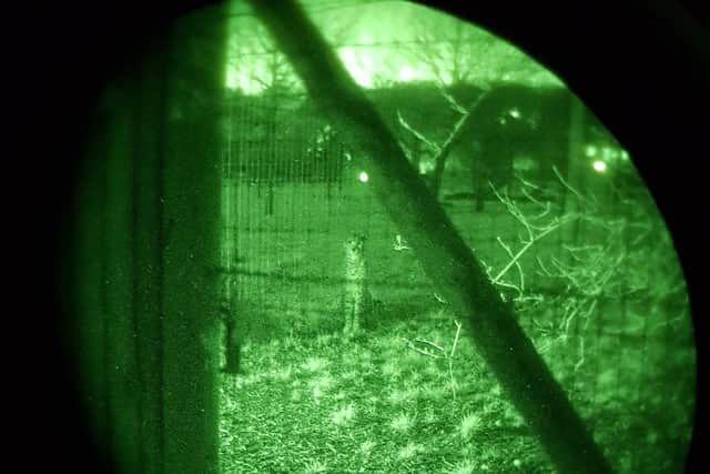 Police were sent to Marwell Zoo after reports of a break-in. This picture was taken with night-vision goggles by one of the officers called out Picture: Fareham police